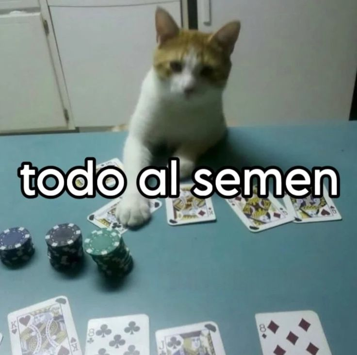 ⛩️𝐑𝐲𝐨𝐦𝐞𝐧 𝐒𝐮𝐤𝐮𝐧𝐚⛩️ tweet media