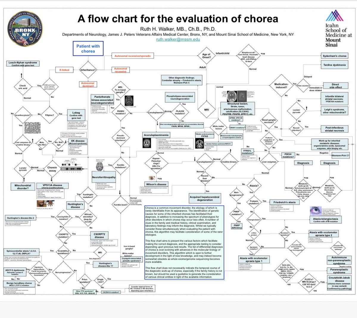 Rani Priyanka Vasireddy, MD, MHA tweet media