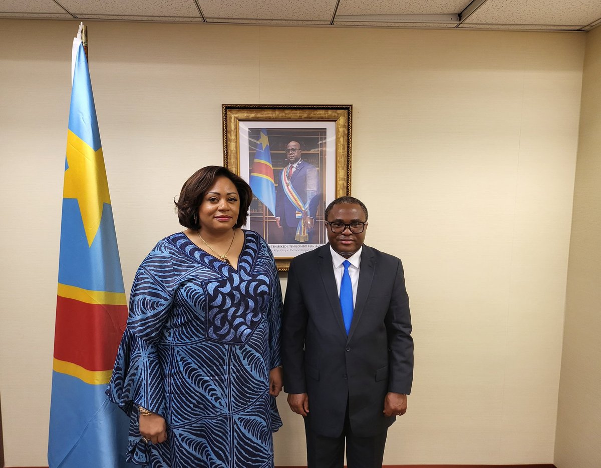 Embassy of The Democratic Republic of Congo in USA tweet media