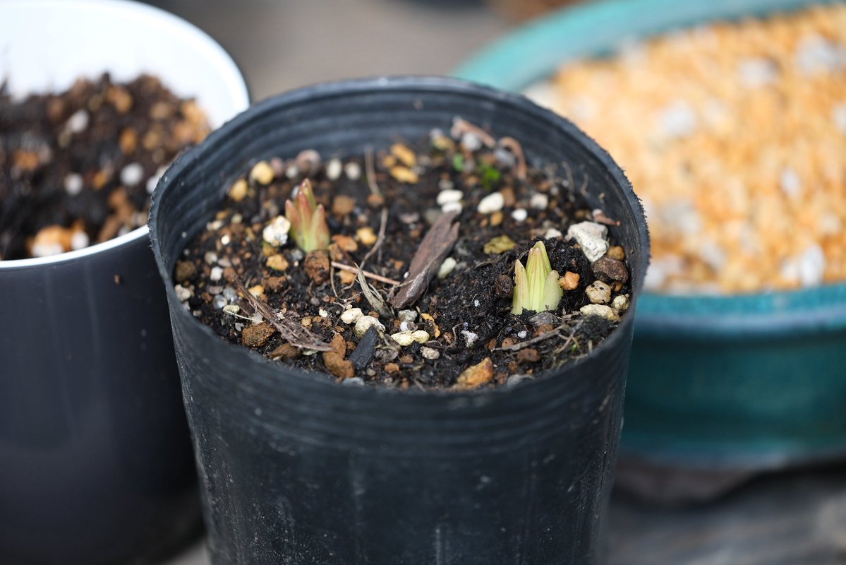 FUKUDA Toru 福田 亨 tweet media