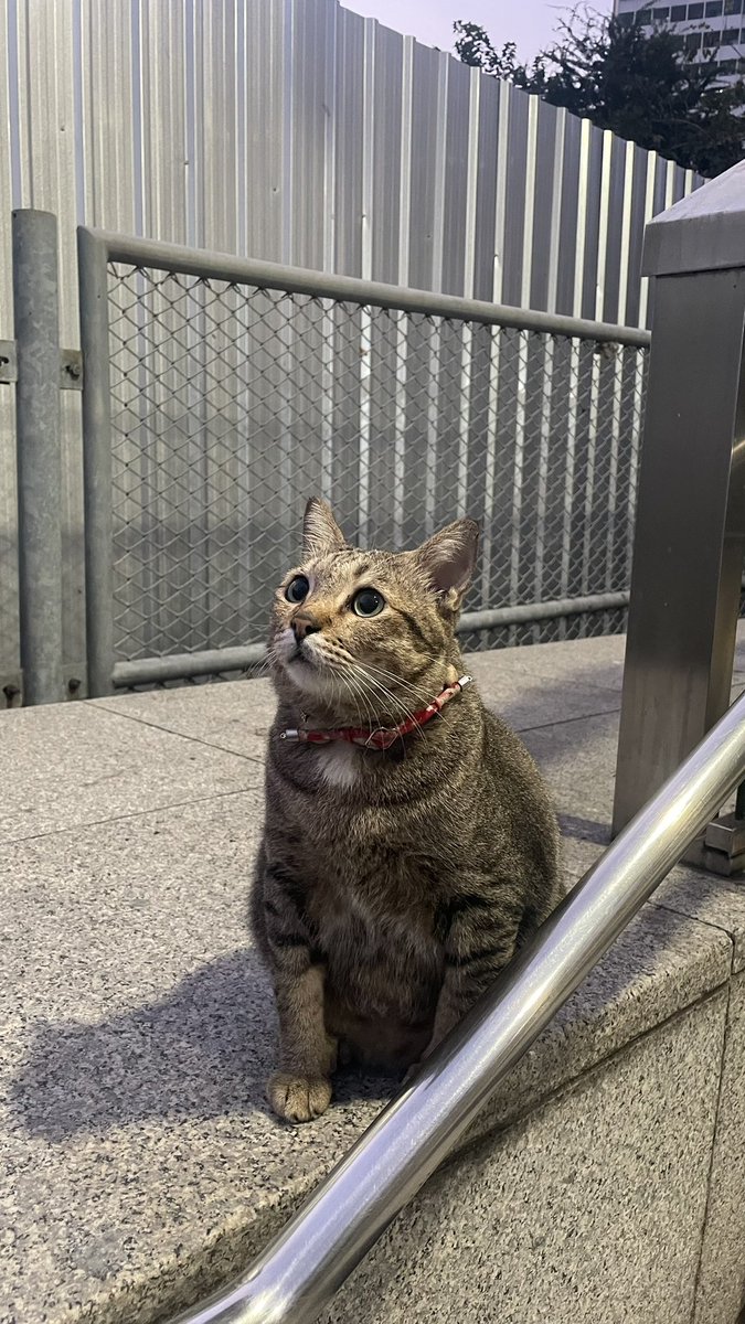 no blueberries🫐 tweet media