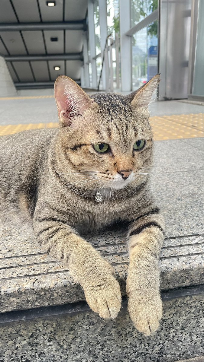 no blueberries🫐 tweet media