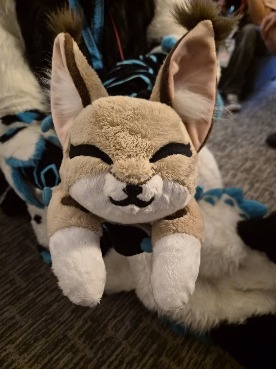 Kasey Kyle tweet media