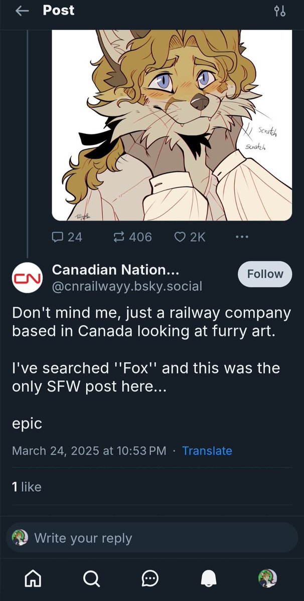 Tatujapa 🦊 tweet media