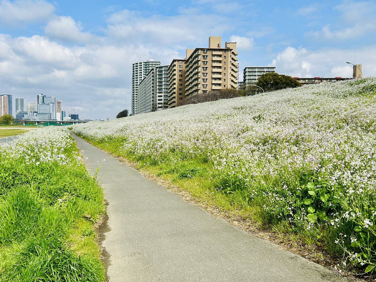 浅井寛司@大田区の行政書士🌻【行政書士事務所 城南浅井リーガライズ】 tweet media