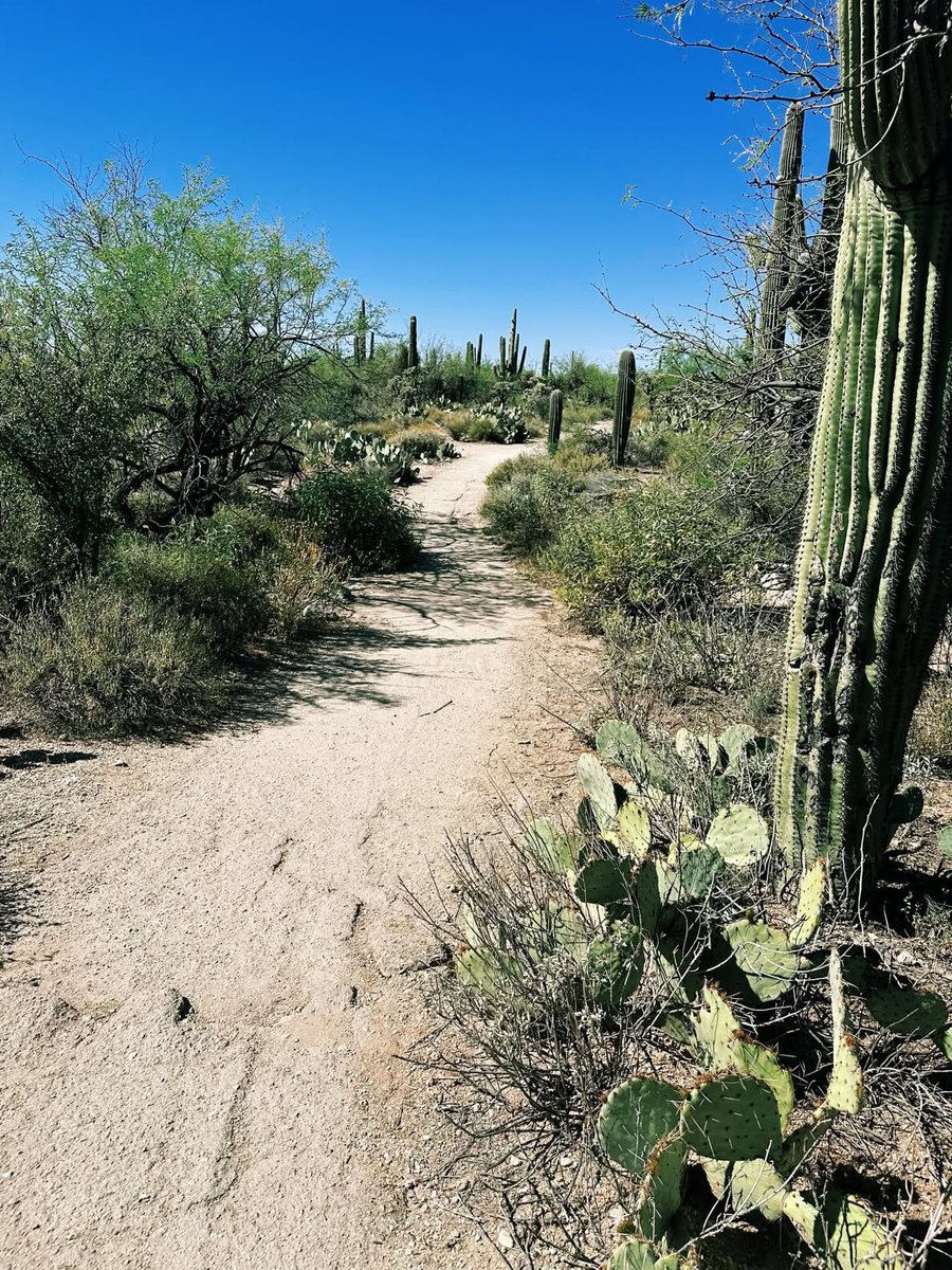 Garrett Born tweet media