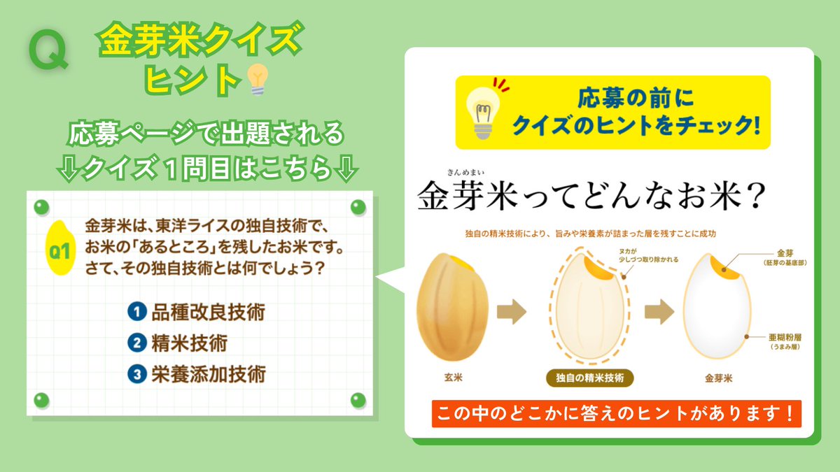 東洋ライス【公式】 tweet media