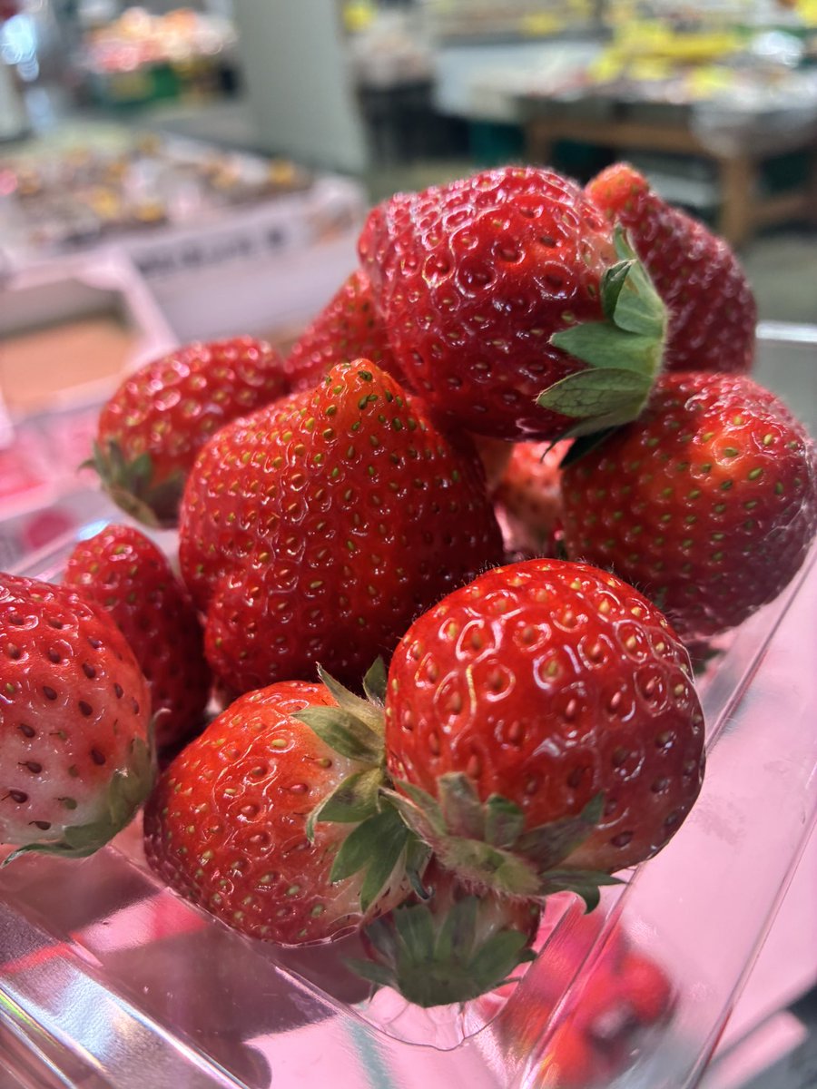 あきた市民市場メイト tweet media