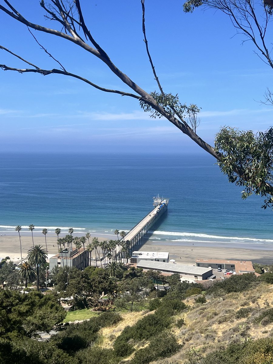 Ryusei💫Solaris tweet media