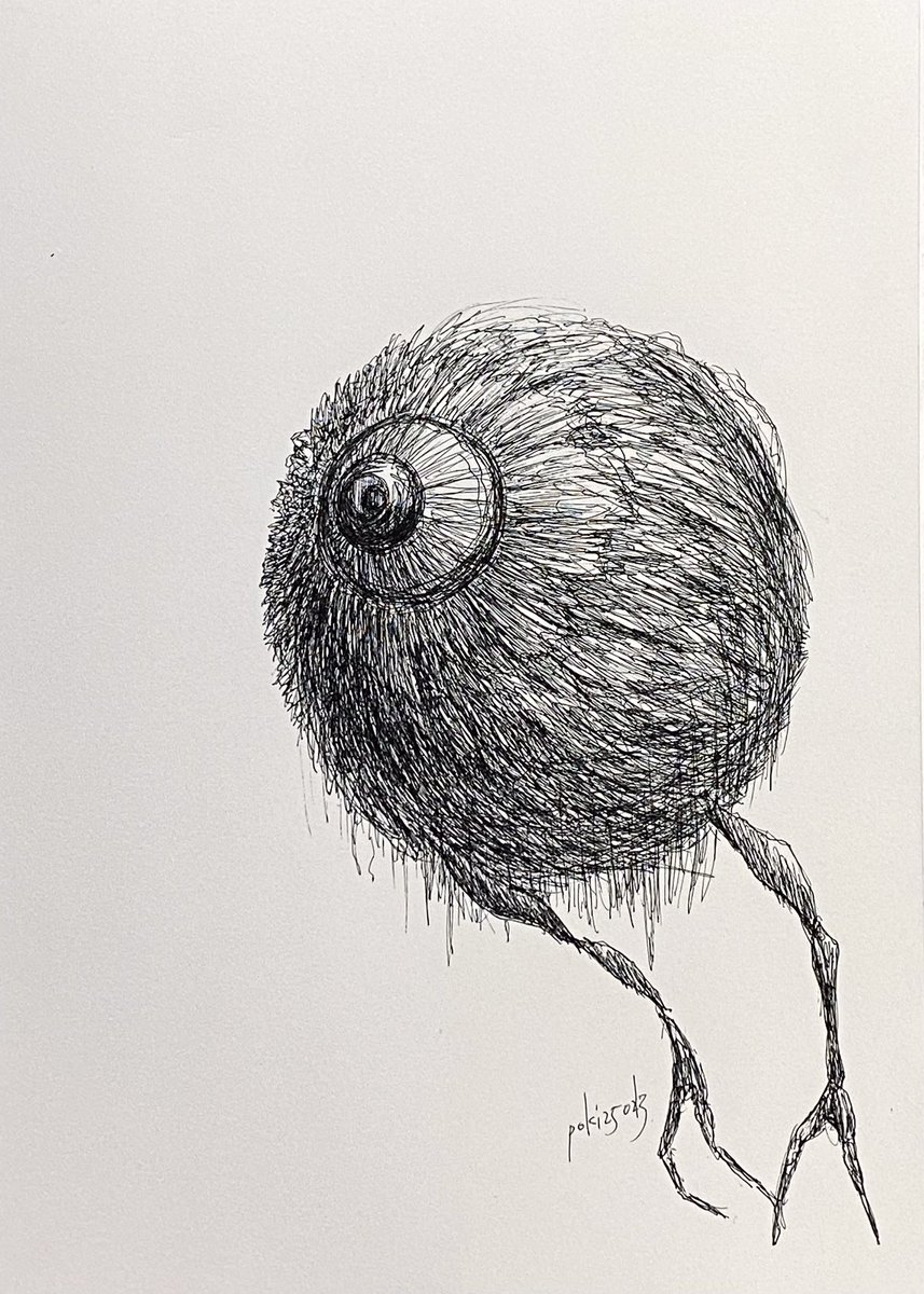 ぽき/poki tweet media