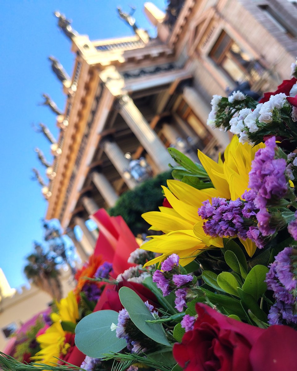 Luis Meza tweet media