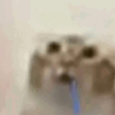 niggerman tweet media