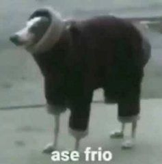 ⛩️𝐑𝐲𝐨𝐦𝐞𝐧 𝐒𝐮𝐤𝐮𝐧𝐚⛩️ tweet media