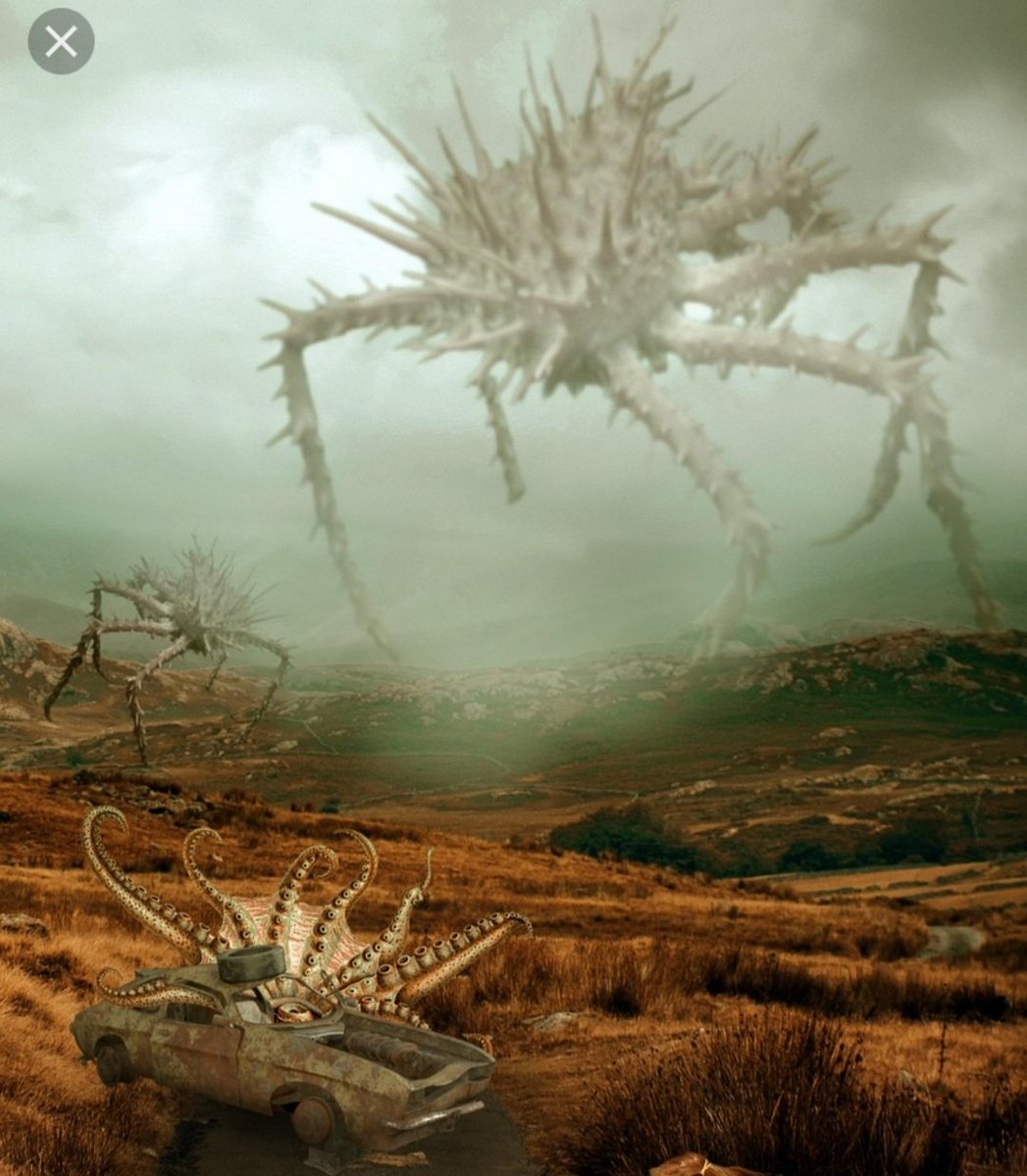 🇵🇱Capivara Colorada🇵🇱 tweet media