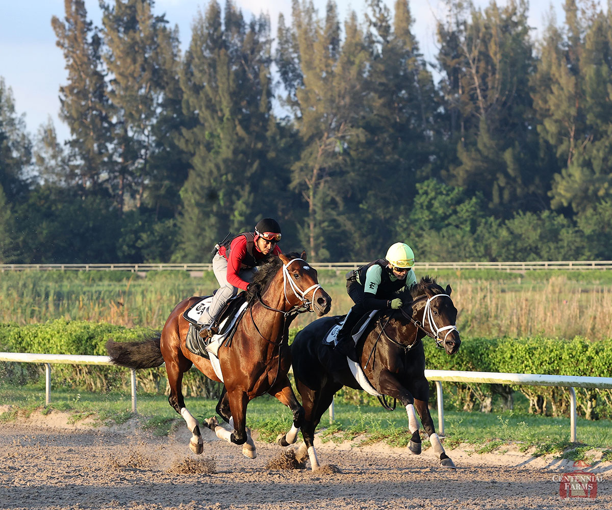Centennial Farms tweet media