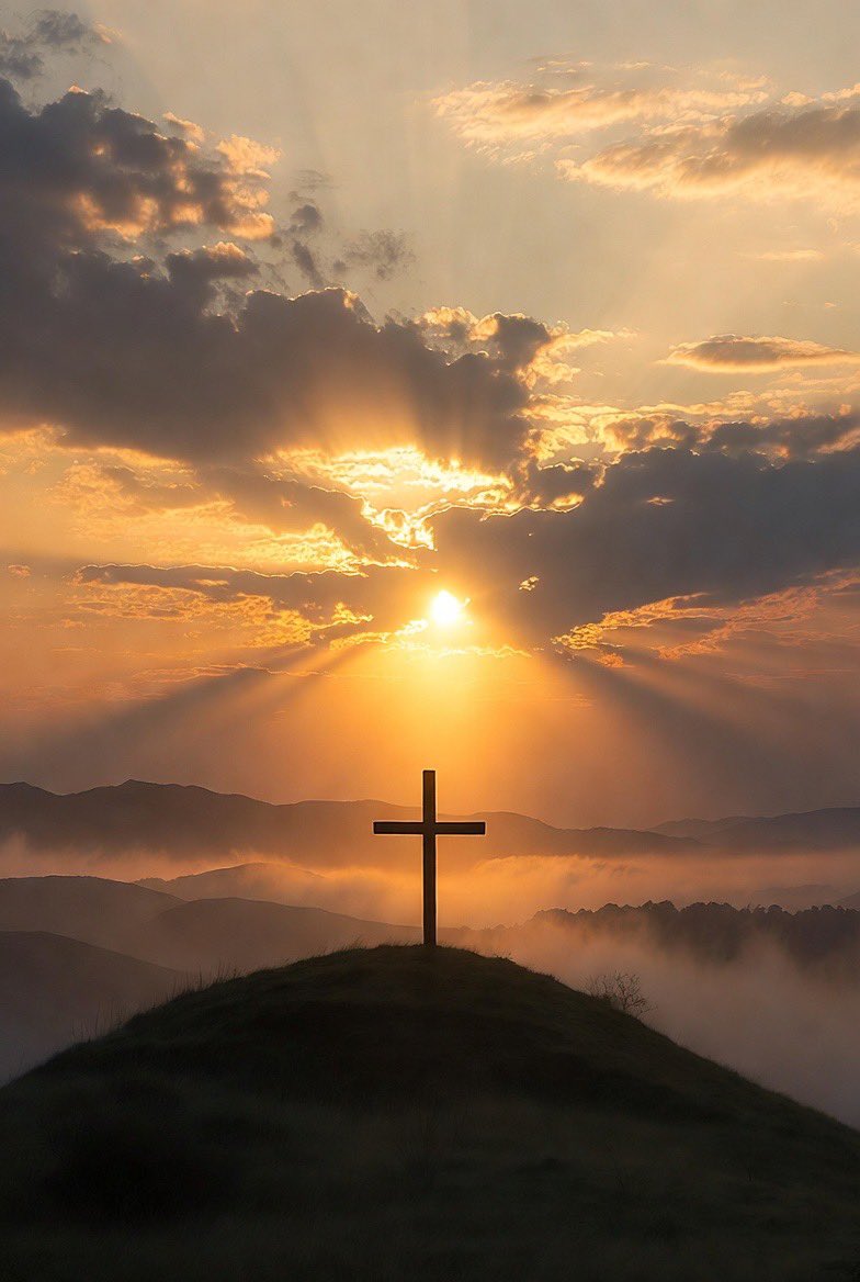 JESUS IS KING tweet media