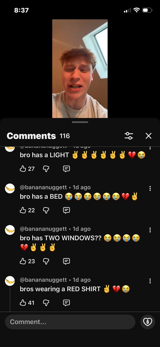 MiniBoi (🎂 IN 4 DAYS!) tweet media