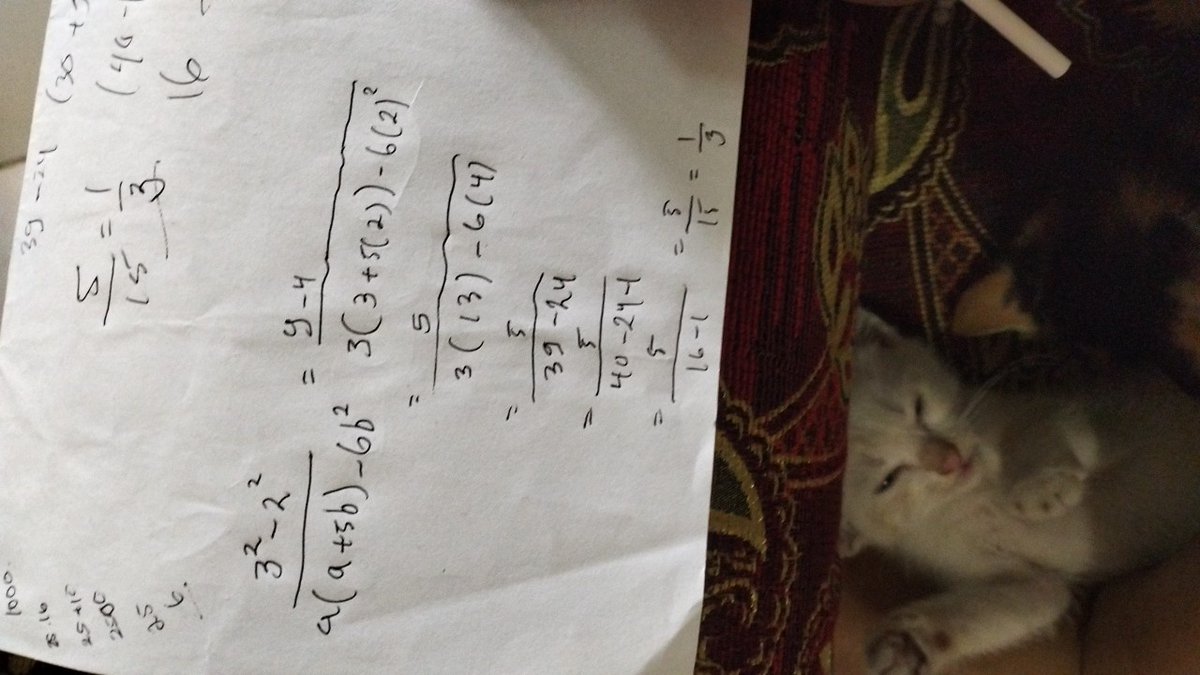 OPEN JASA UP FOLLOWERS tweet media