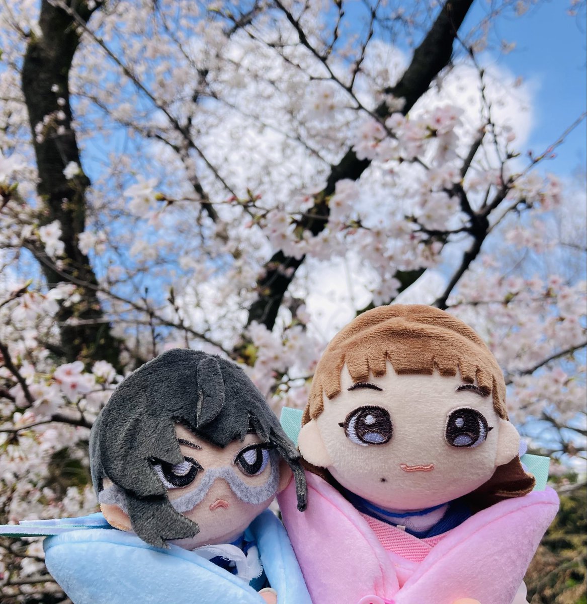 倫理きよ🔪💝百合単行本発売中 tweet media