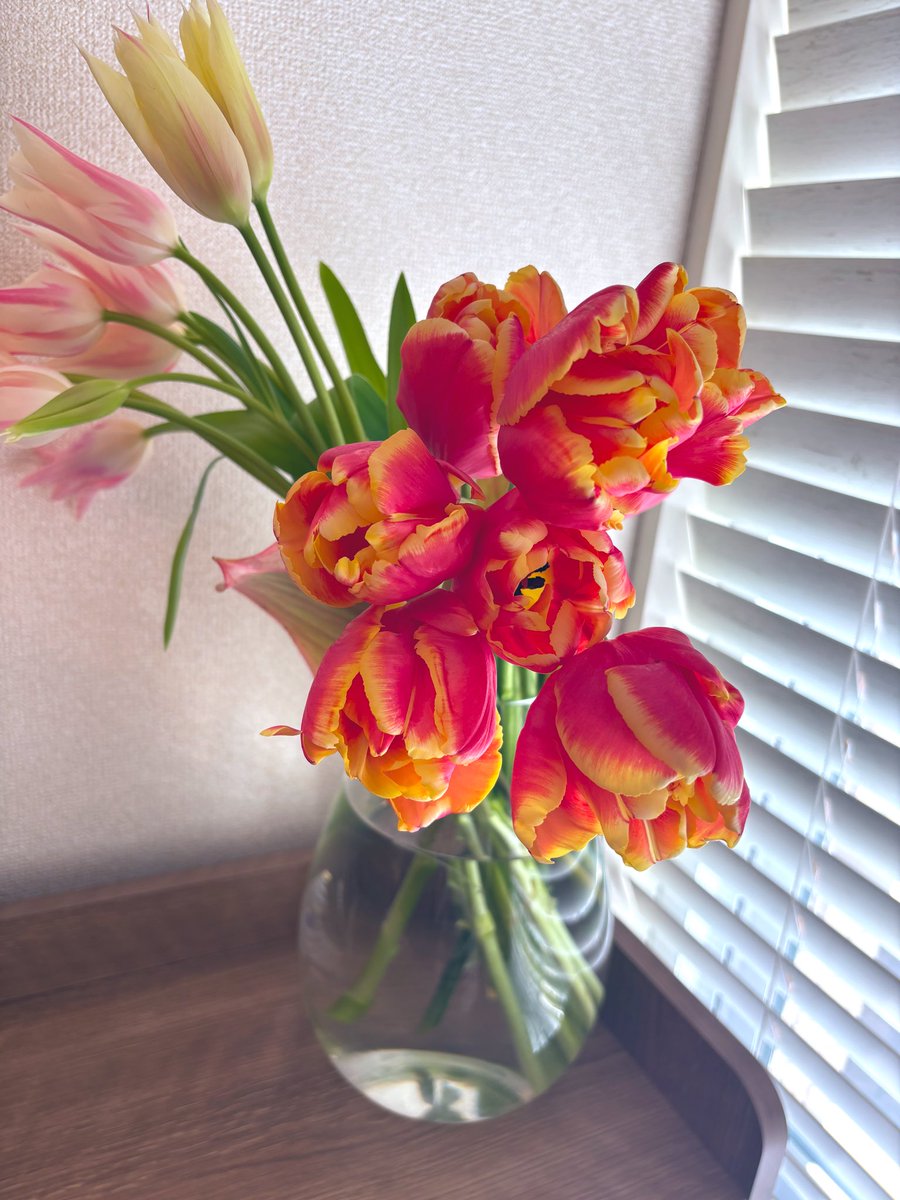 しょこ tweet media