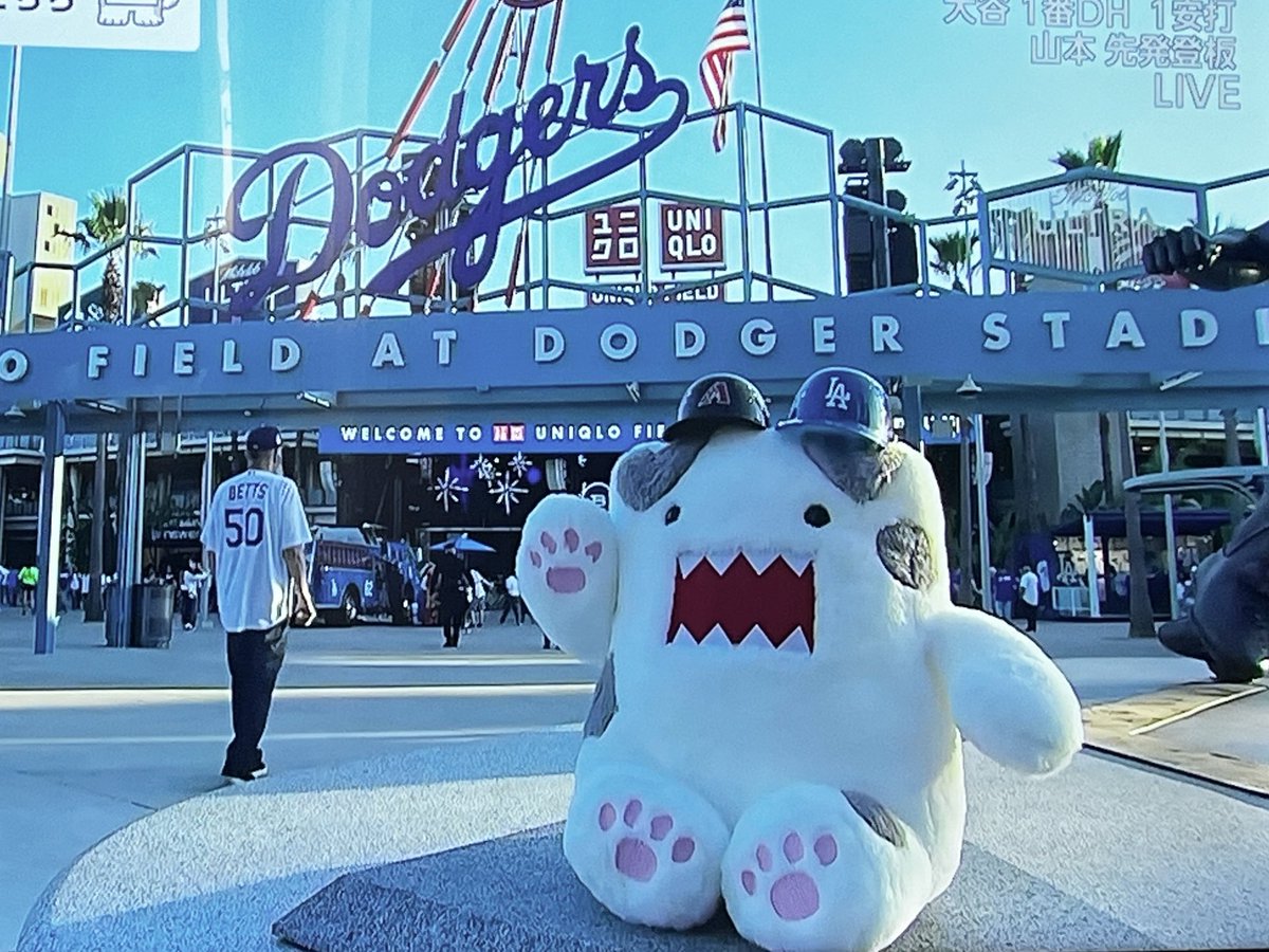 はらよしこ＊瑞富 tweet media