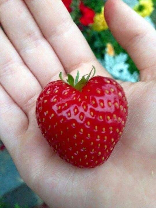 only cute things tweet media