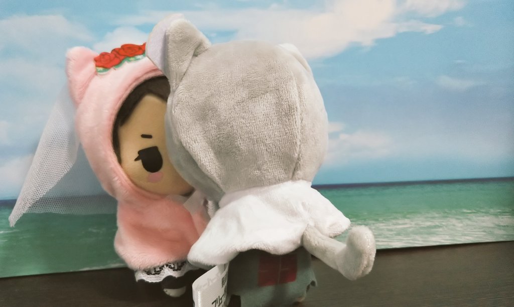 狛日ぬいの結婚式撮った(？？)
