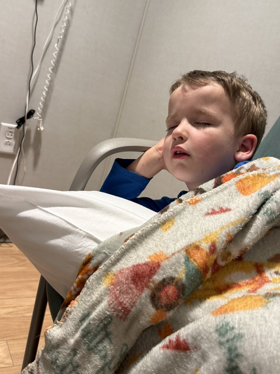 Lauren Maxwell tweet media