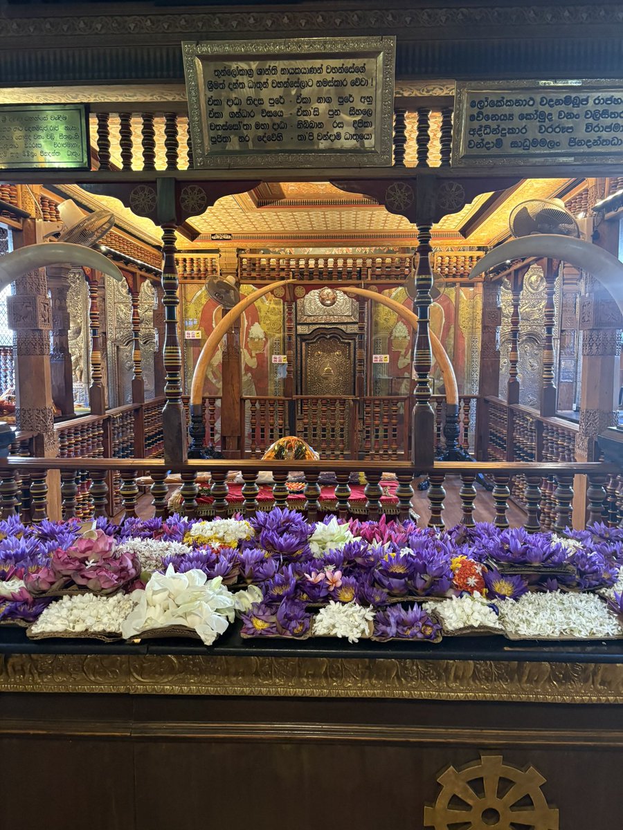 HSkywalker tweet media