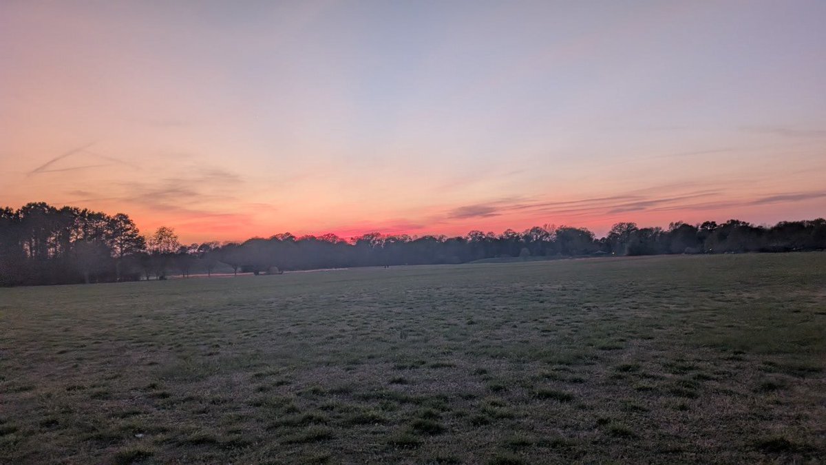 Tony 🎮 tweet media