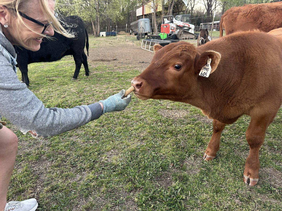 Jeff - Frontier World tweet media