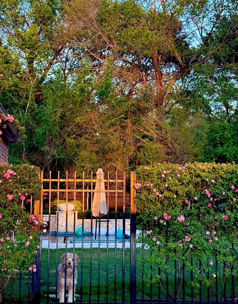 𝐊𝐚𝐦 𝐒𝐭.𝐌𝐚𝐫𝐭𝐢𝐧 tweet media