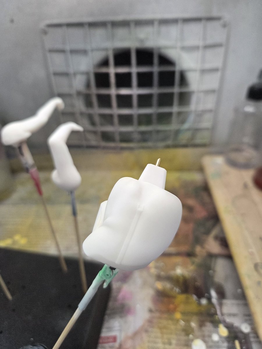 HASO🦊 tweet media