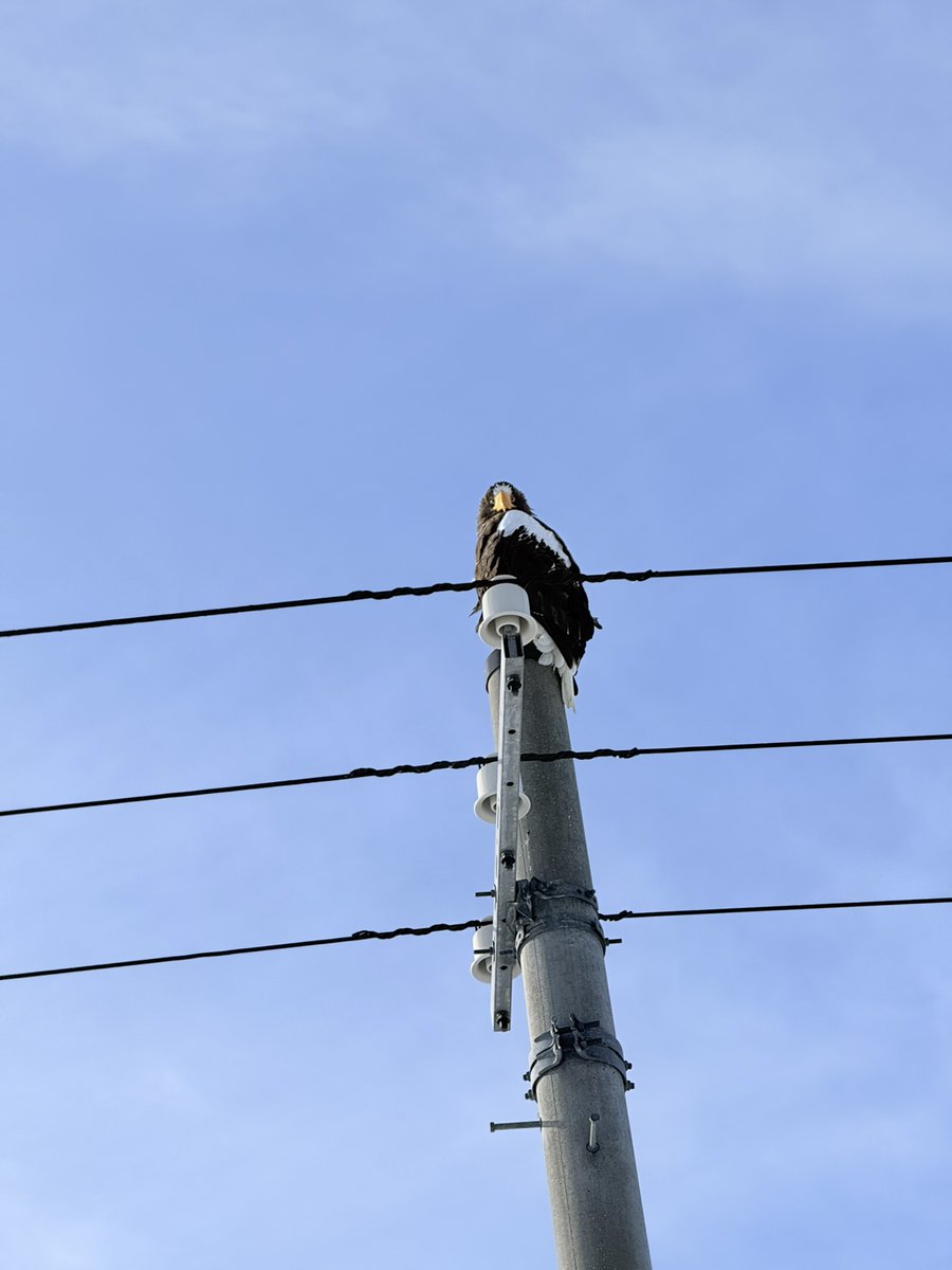 キュンちゃん【公式】 tweet media