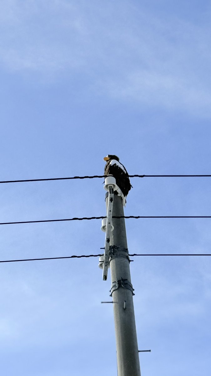 キュンちゃん【公式】 tweet media