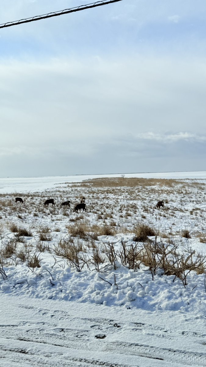 キュンちゃん【公式】 tweet media