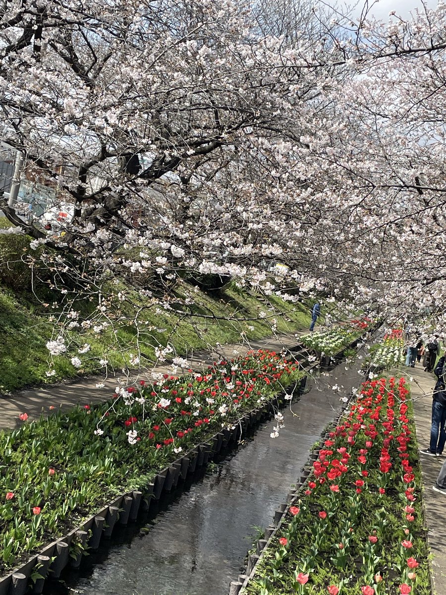 ちょっと 寄り道🌸