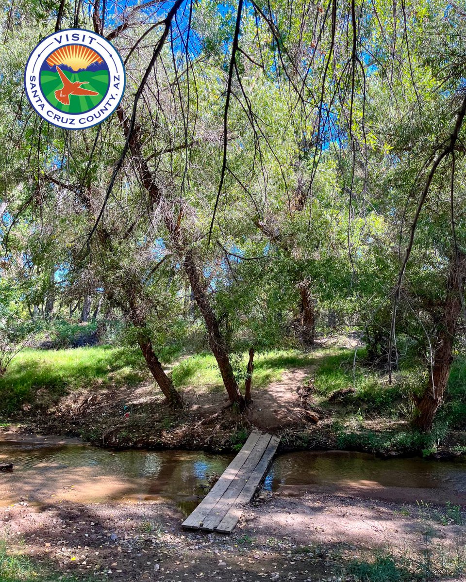 visitnogalesaz's tweet image. Spring trails, fresh air, and the sound of water guiding the way. 🌿🥾 Hiking through #SouthernArizona in spring means shaded paths, gentle creek crossings, and landscapes coming back to life. 😎 

#SouthernArizona #SpringHiking #ExploreAZ #HikeArizona #GetOutsideAZ