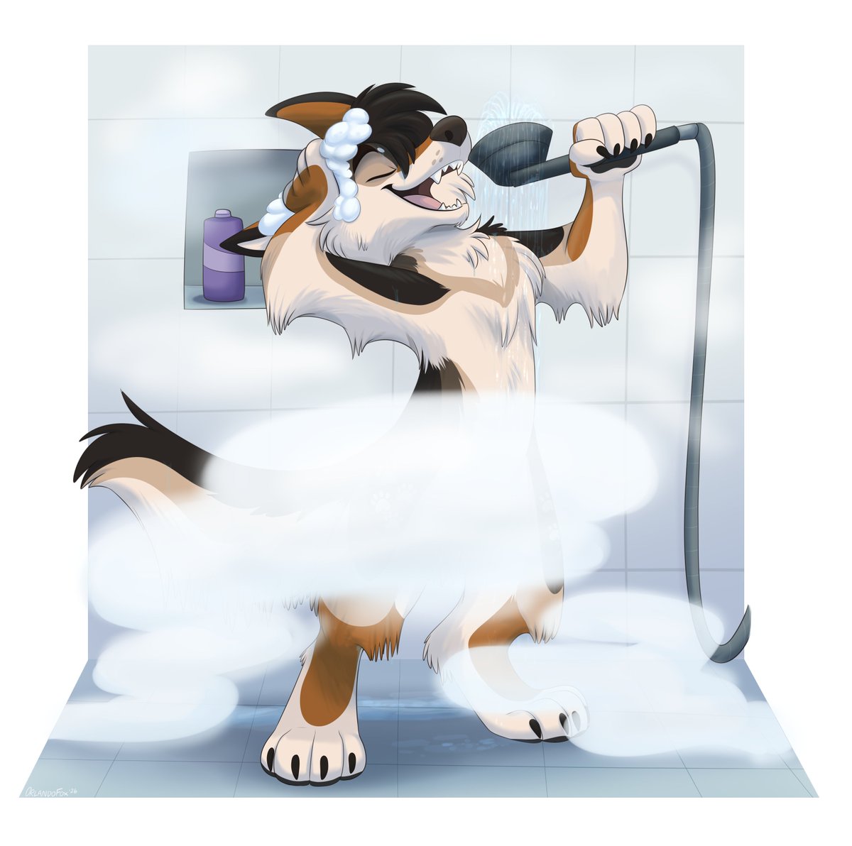 OrlandoFox tweet media