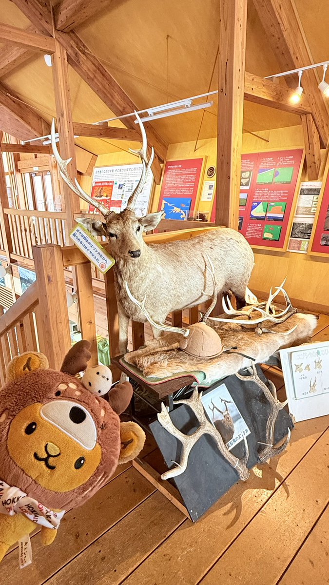 キュンちゃん【公式】 tweet media