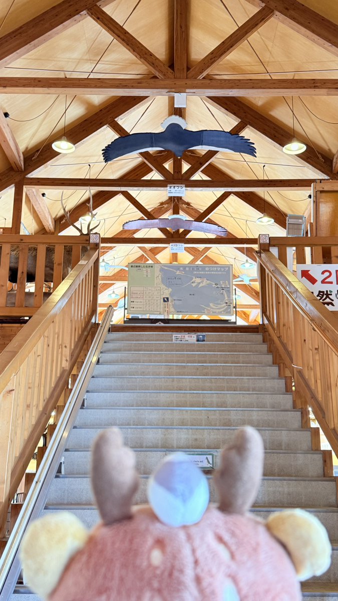 キュンちゃん【公式】 tweet media