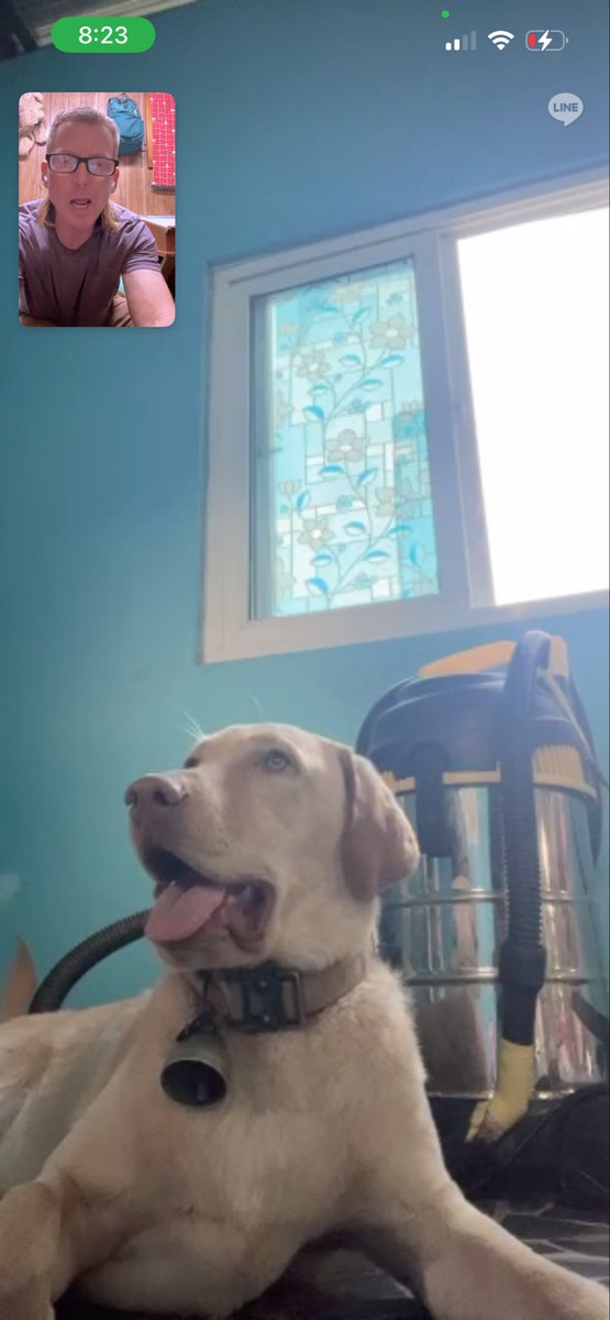 ๐ผ๐๐๐๐๐๐ต๐๐๐ tweet media