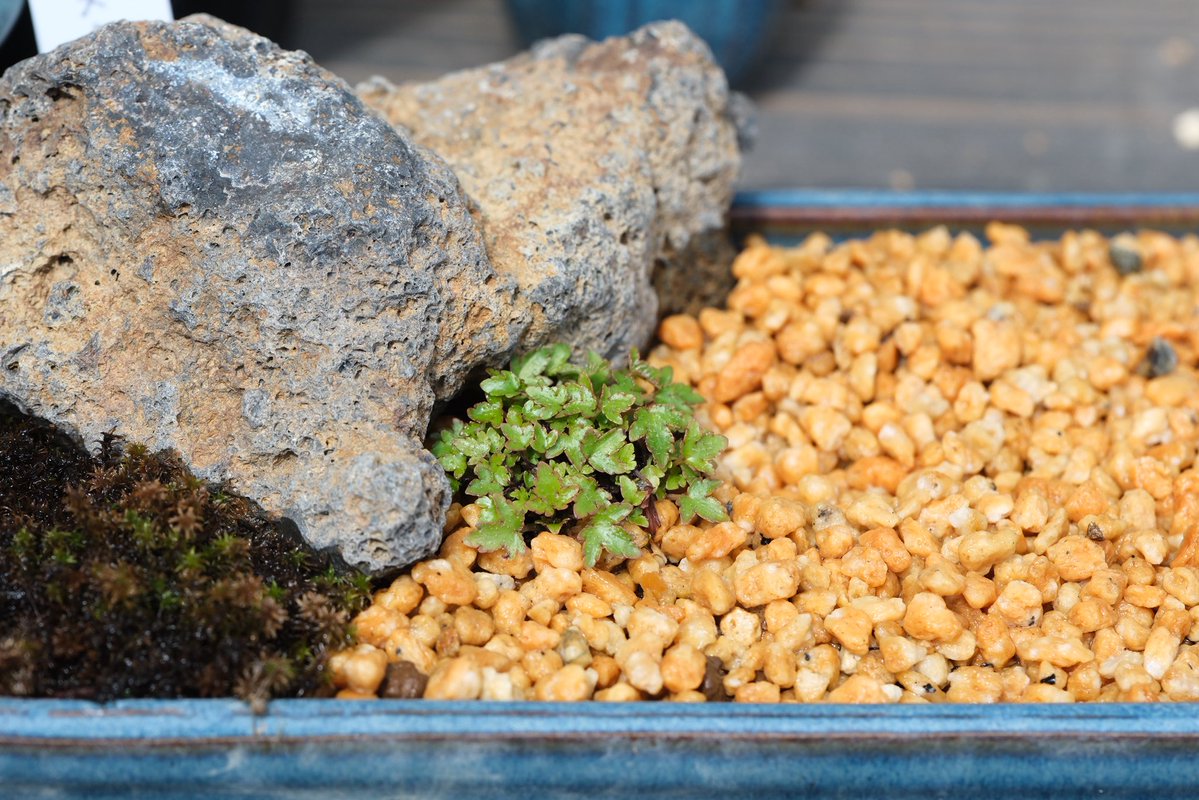 FUKUDA Toru 福田 亨 tweet media