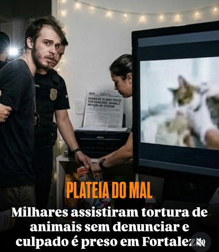 ÀS IMUNDÍCIES QUE ASSISTEM SÃO TÃO CULPADOS QUANTO OS CARRASCOS

BANIMENTO DO DISCORD E ZOOSSADISMO NO BRASIL JÁ