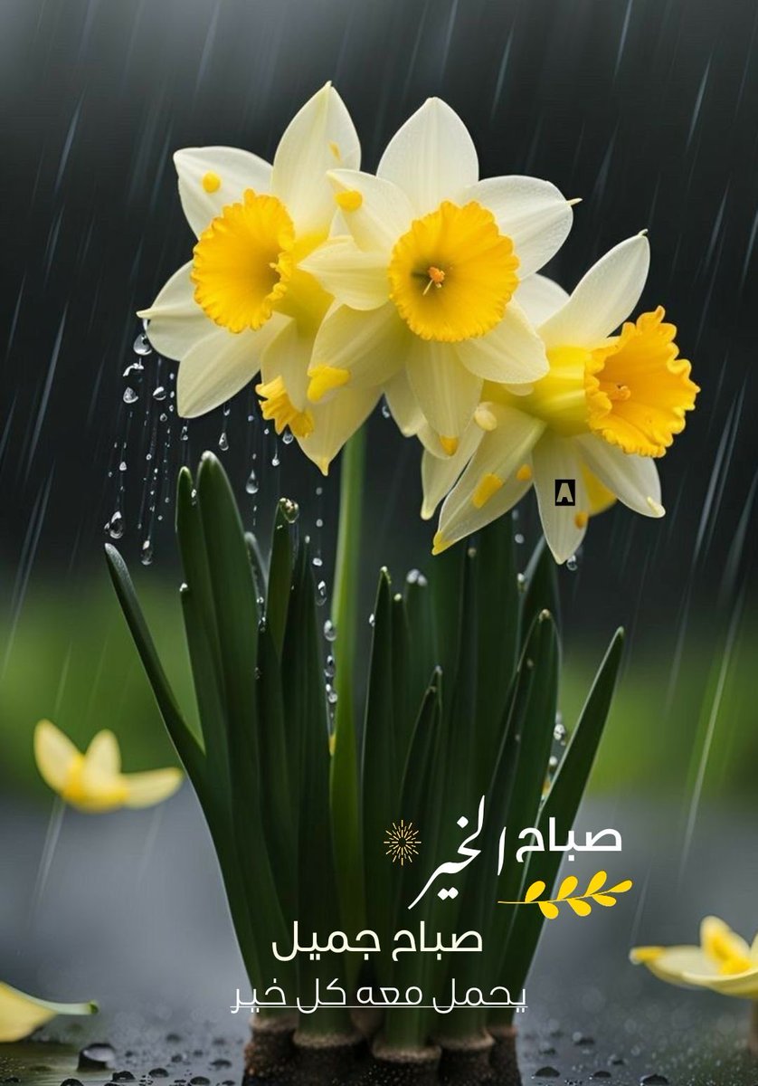 مُـــنى 💎 tweet media