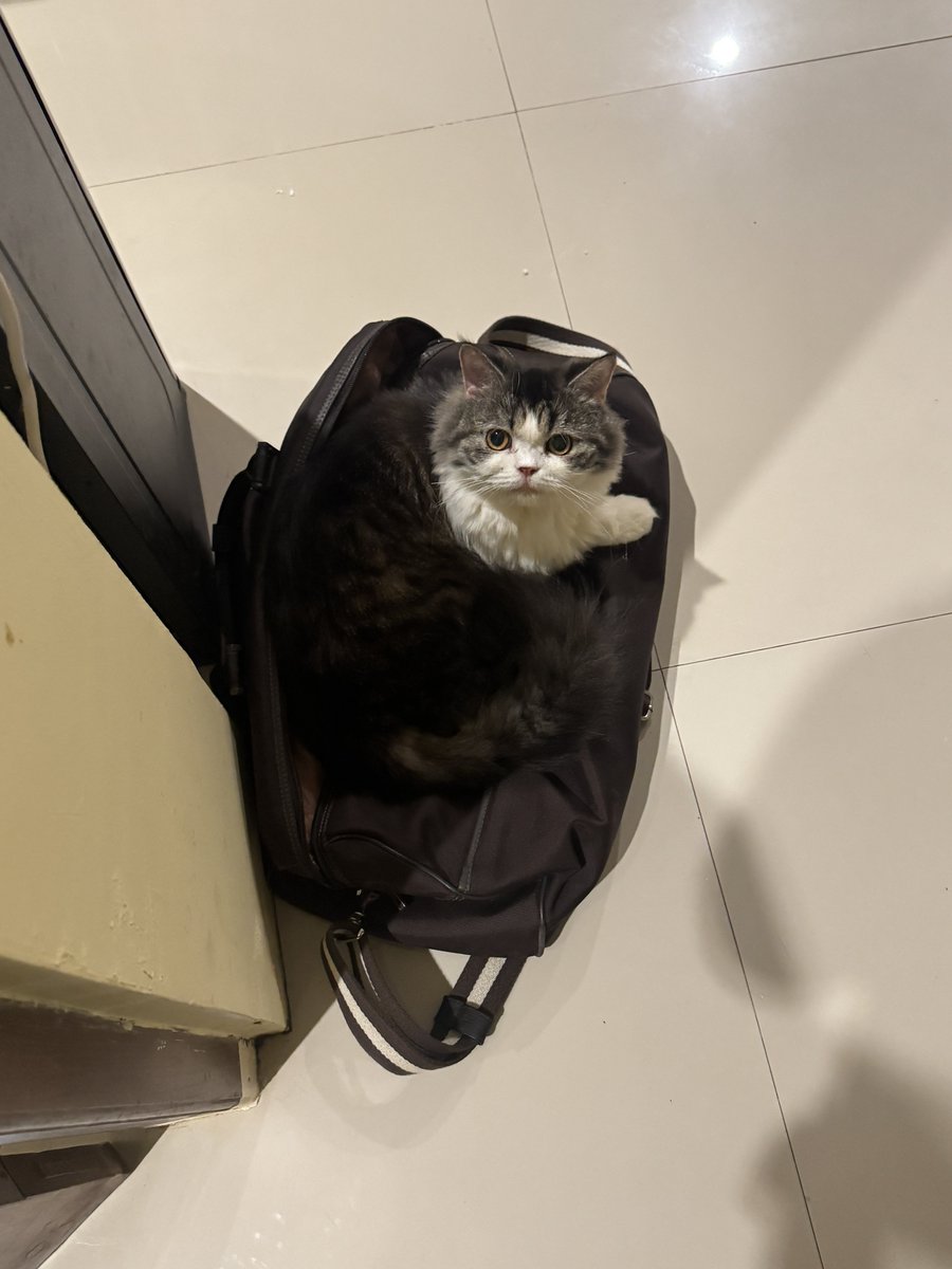 TWINKATRON6969 tweet media