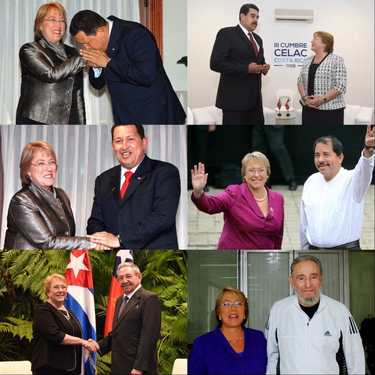 sandry🇨🇱🐾🌻 tweet media