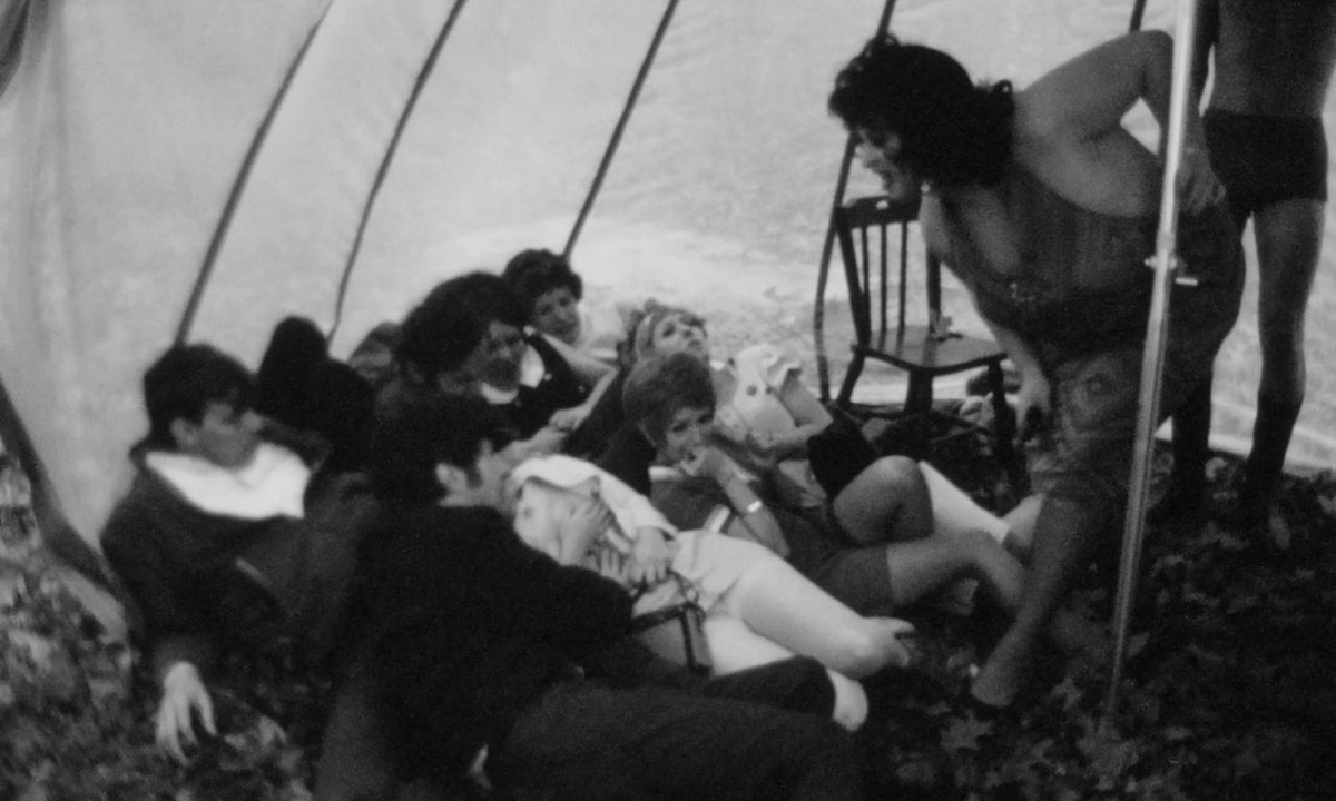 Lily 🏳️⚧️ tweet media