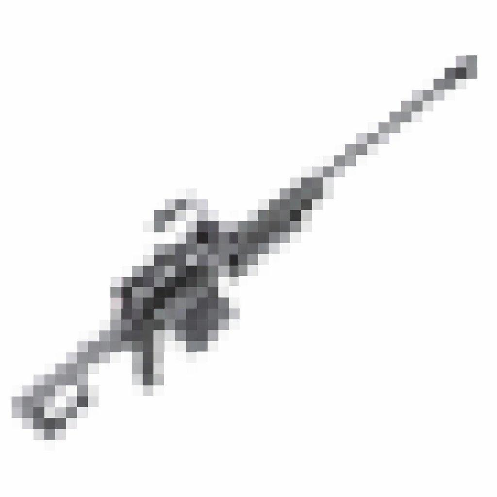 American Firearms Association tweet media