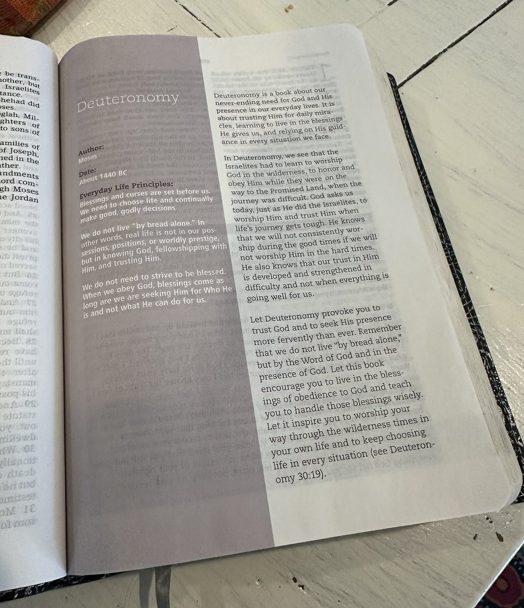 Tyler Todt tweet media